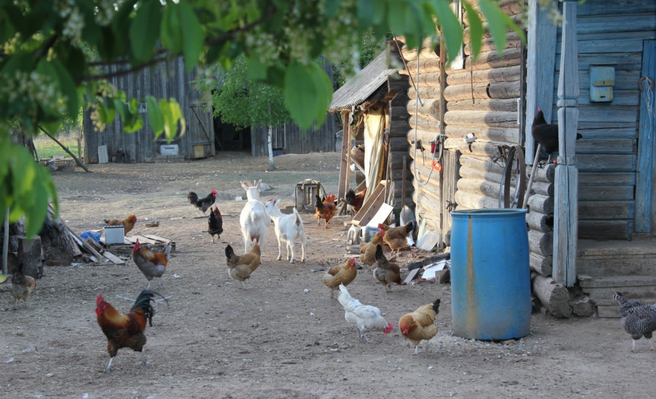 Лилия Сидорова