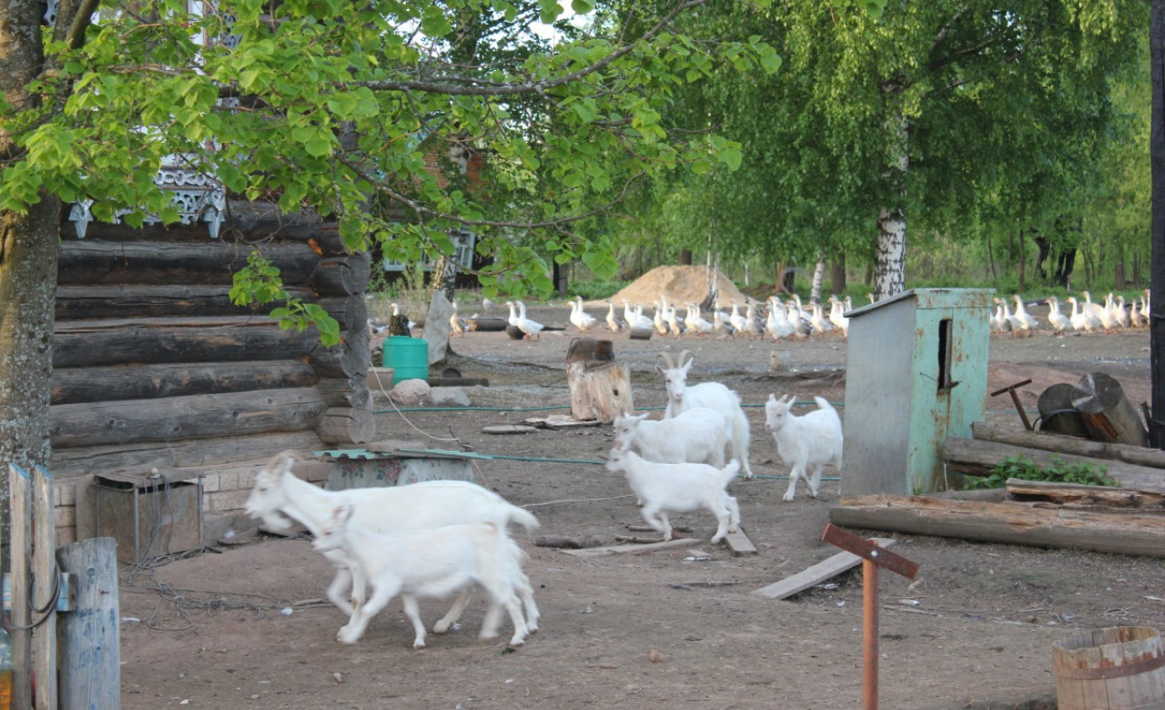 Лилия Сидорова