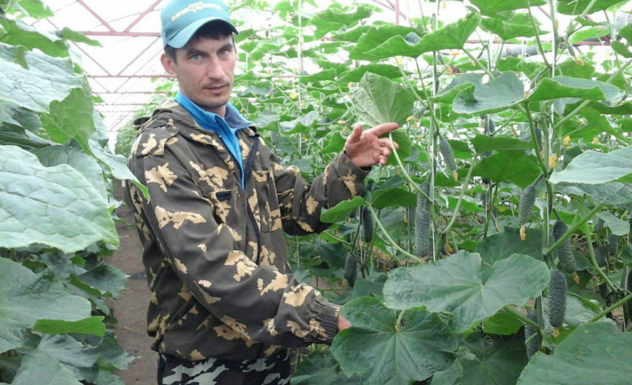 Игорь Жваков
