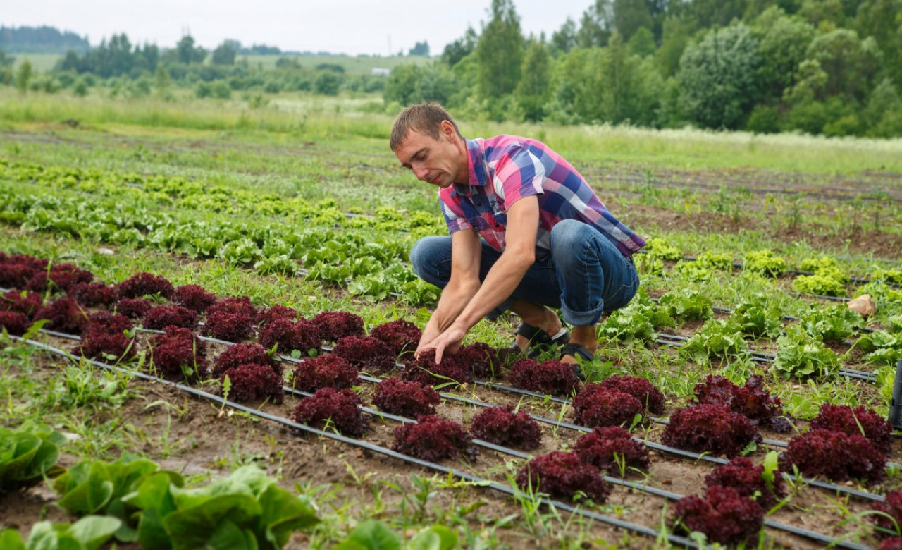 Дмитрий Славянский