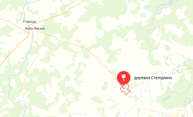 Степурино нижегородская область карта