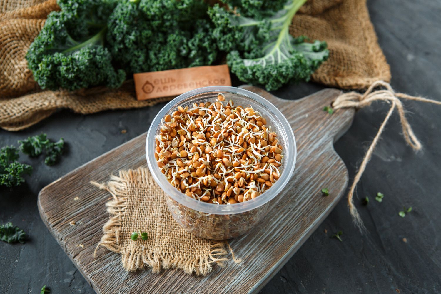 Микрозелень чечевица. Чечевица зеленая микрозелень. Микрозелень маша. Пророщенная микрозелень. Микрозелень чечевицы.